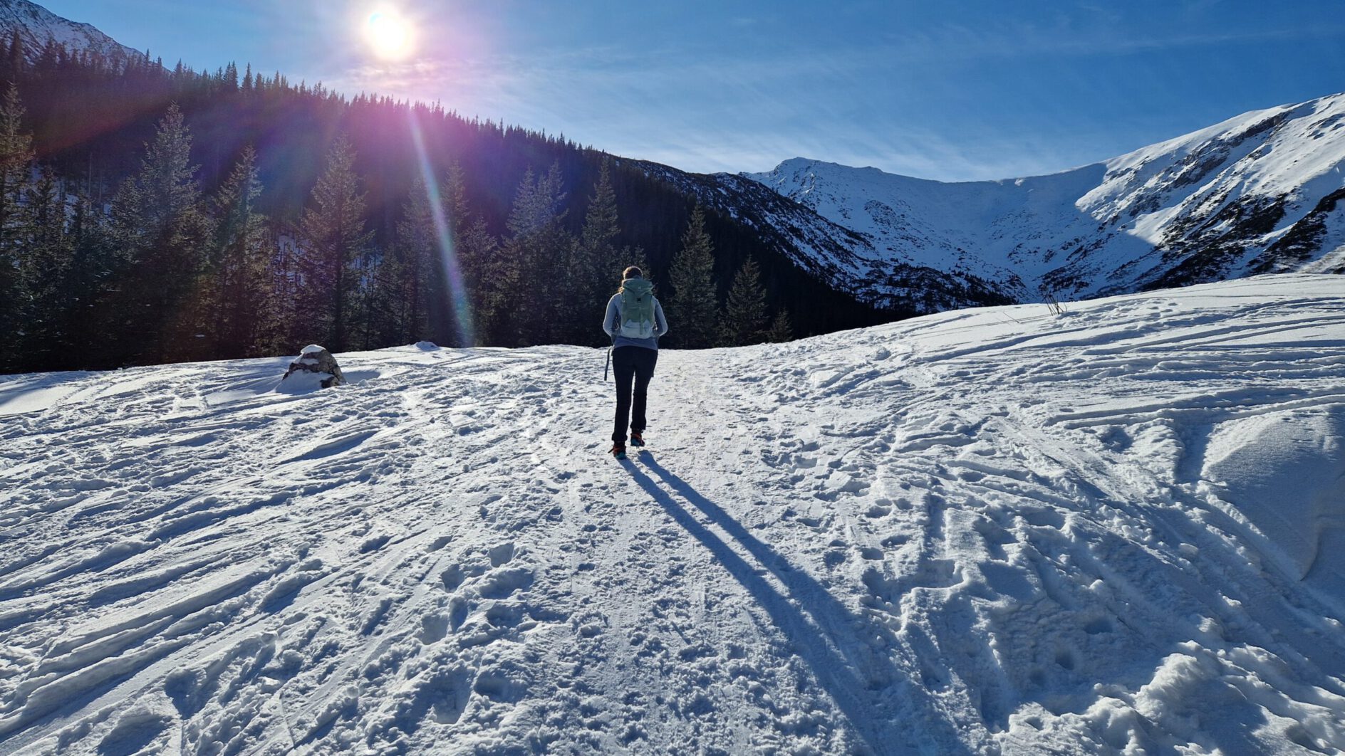 Parkomaty i kasy parkingowe