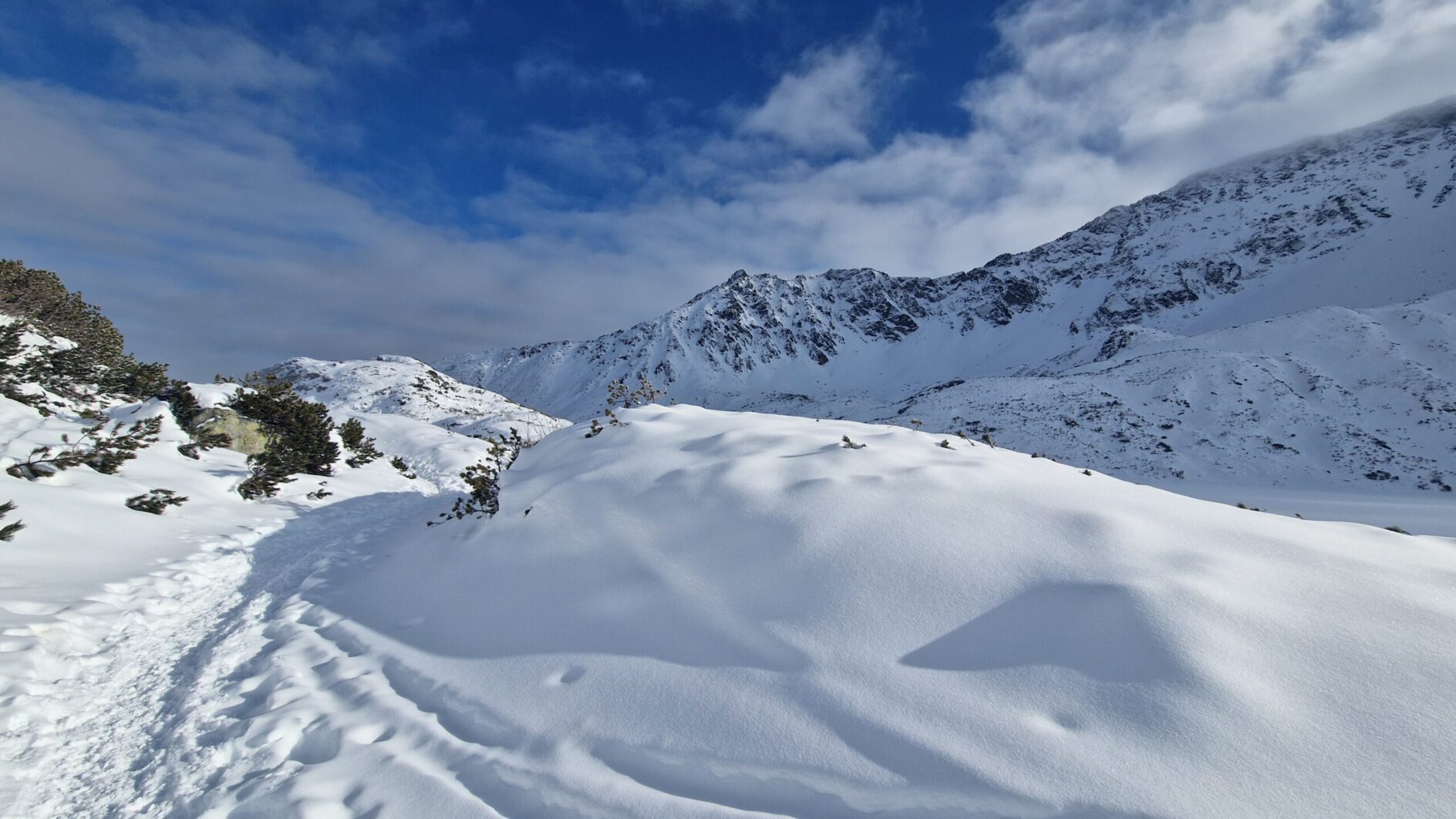 Eksperci w zarządzaniu parkingami