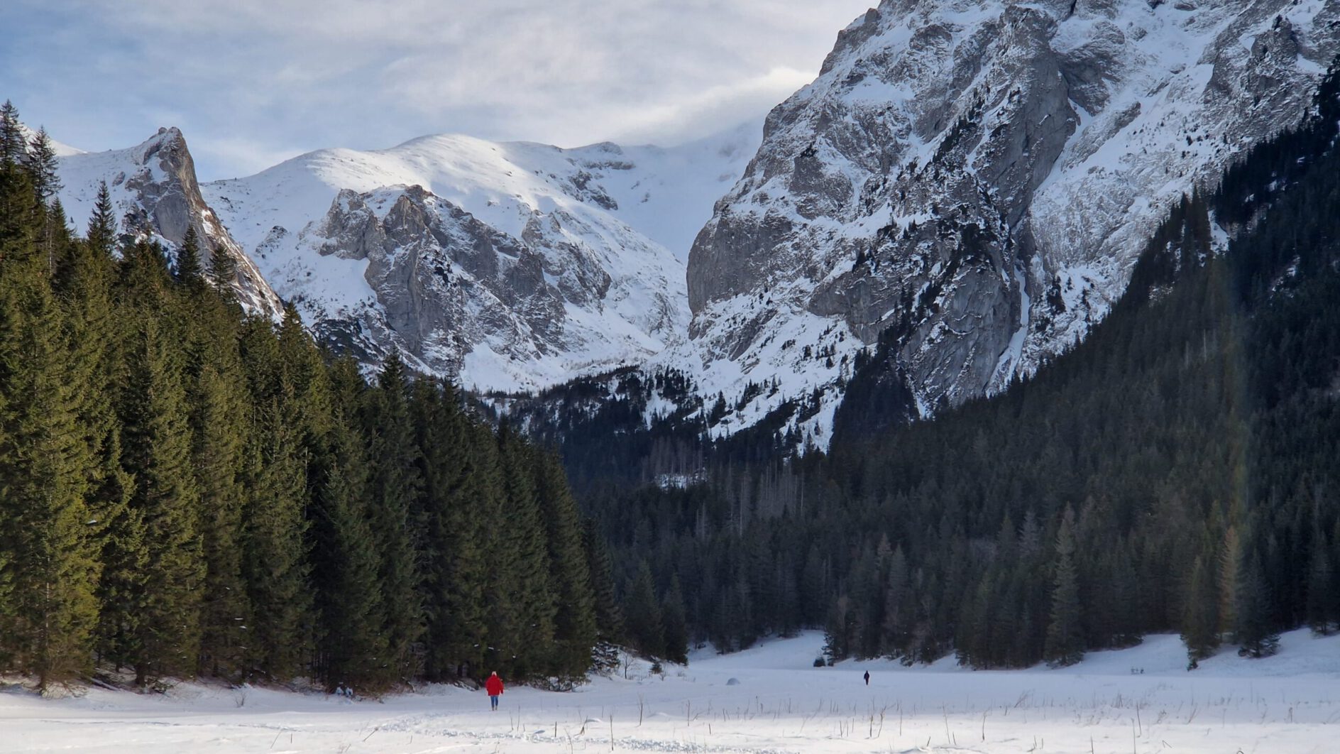 Parki narodowe i kompleksy leśne