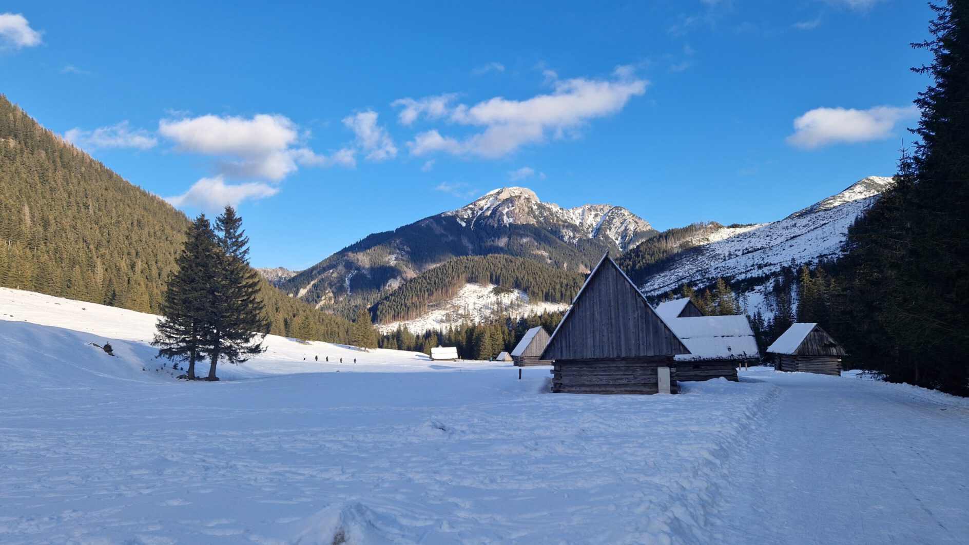 W taki sposób działamy…