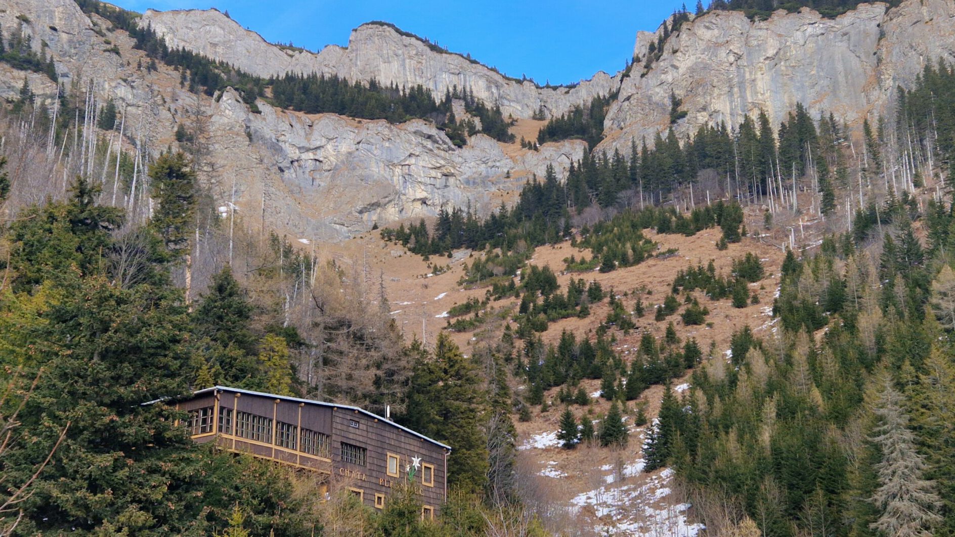 Kontrola opłat na parkingach