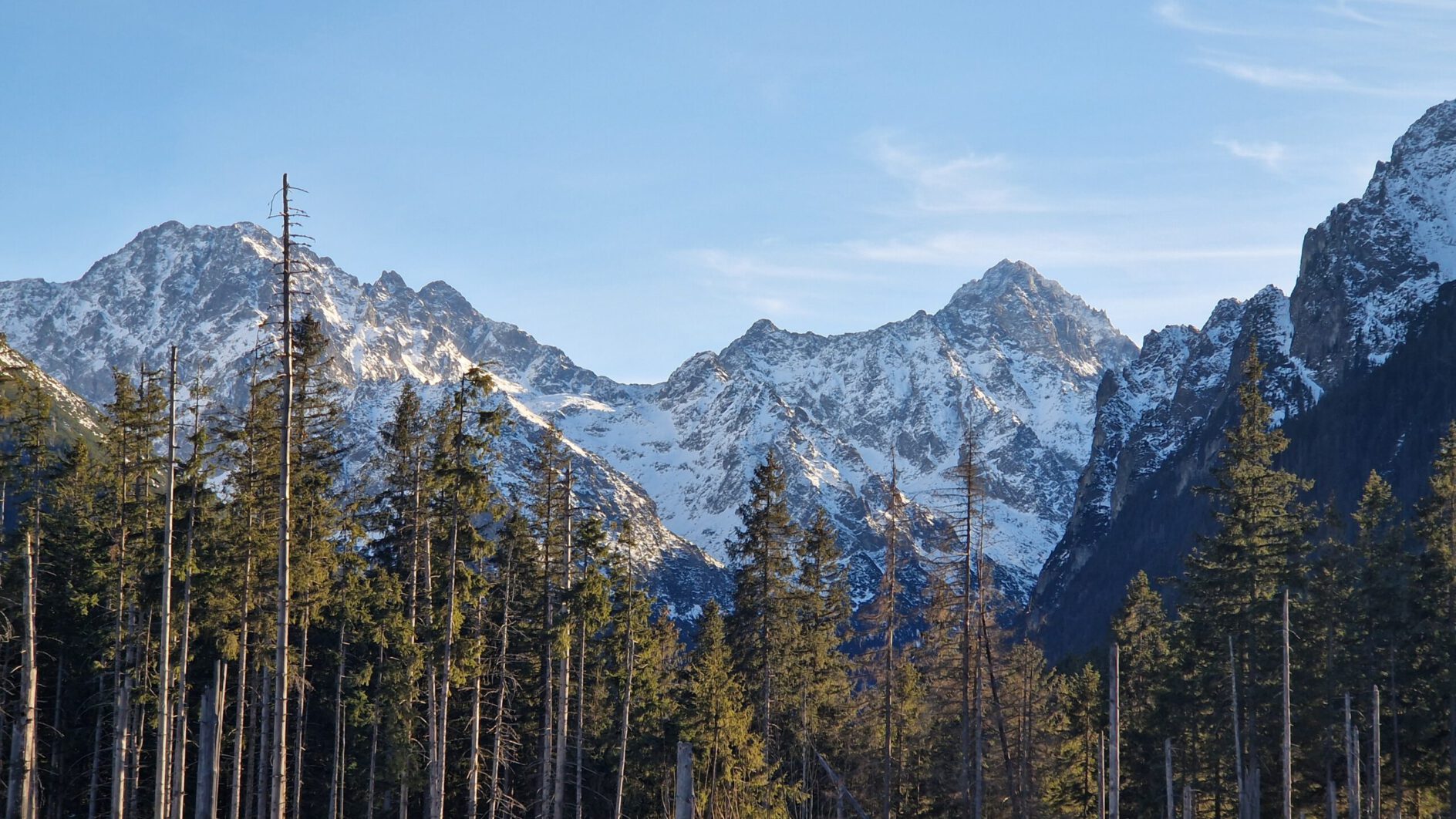 Organizacja i zarządzanie strefami płatnego parkowania