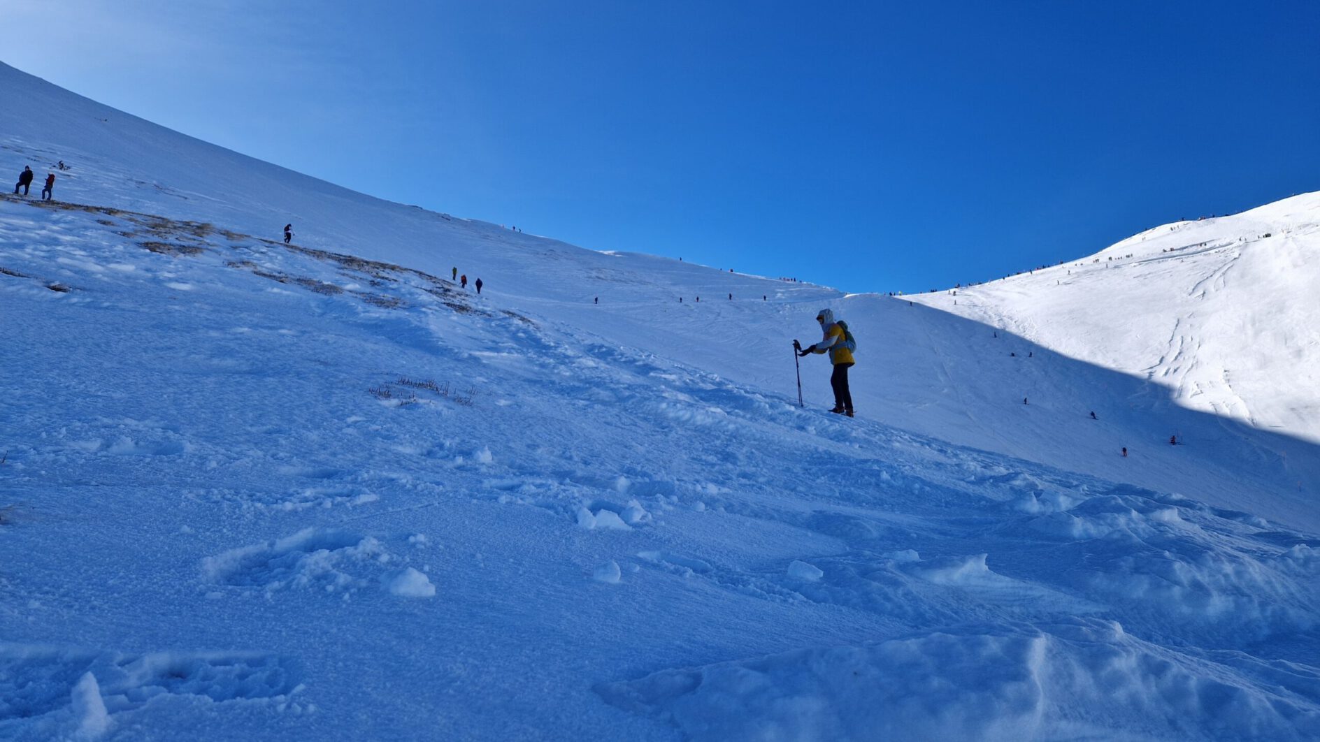 Systemy parkingowe ParkField