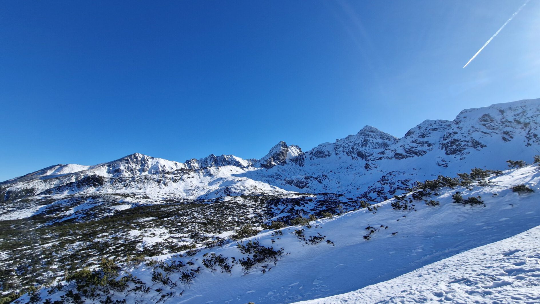 Ogrody zoologiczne i botaniczne